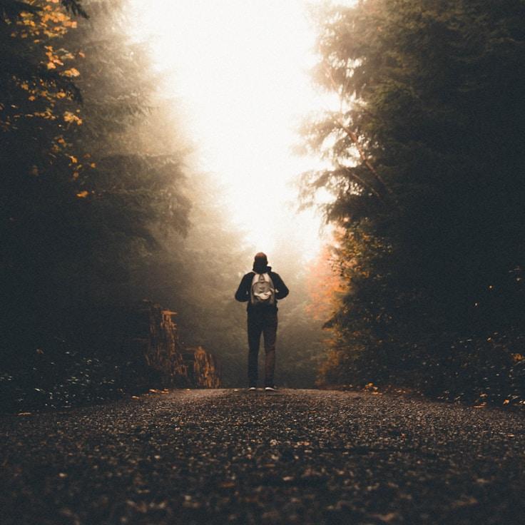 National parks landscape